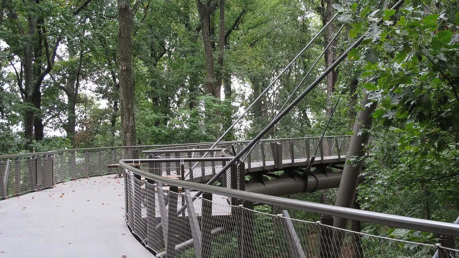 The curving concrete deck and steel cable railings of the Canopy Walk winding through green treetops at the Atlanta Botanical Garden