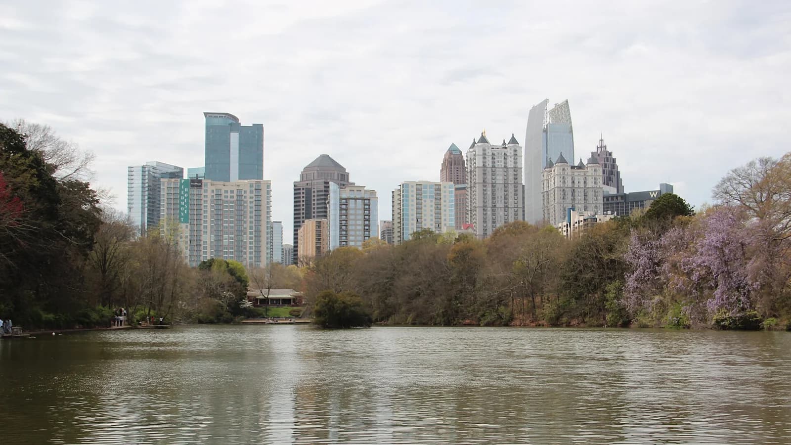 The Midtown Atlanta skyline rising above budding spring trees and purple blossoms across the still water of Lake Clara Meer in Piedmont Park