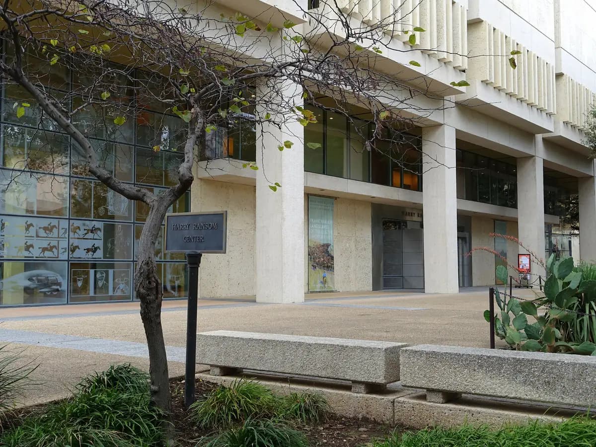 A tall pale building with a glass ground floor showing images in its windows, behind a young tree, a small sign and a low stone bench