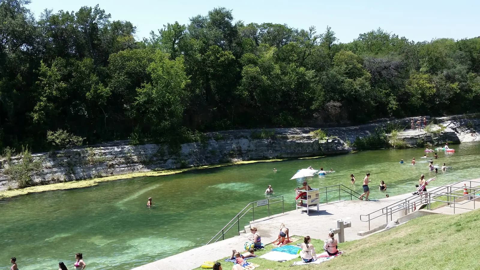 Swimmers in clear green spring water and sunbathers on the grassy bank of Barton Springs Pool, below a limestone wall and a ridge of tall trees