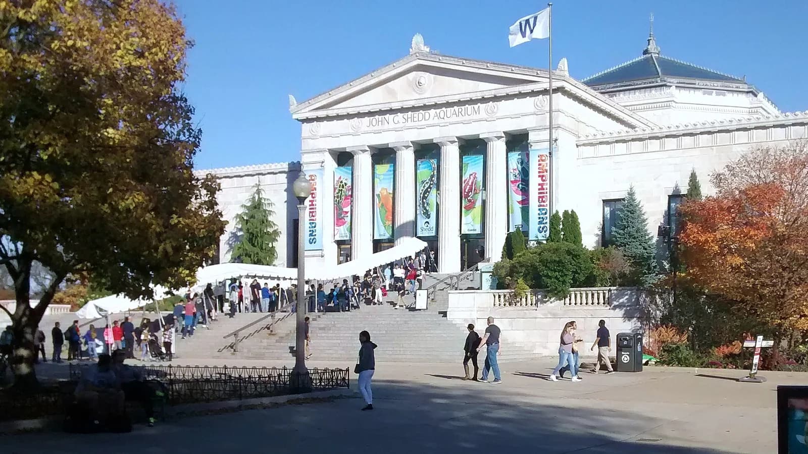 Shedd Aquarium's columned entrance and green dome framed by autumn trees on a sunny day