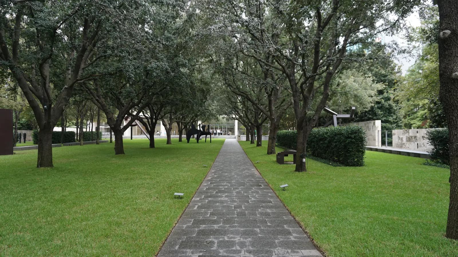 A straight stone path runs between lawns under rows of live oaks in the Nasher Sculpture Center garden, with dark sculptures and a glass pavilion far behind