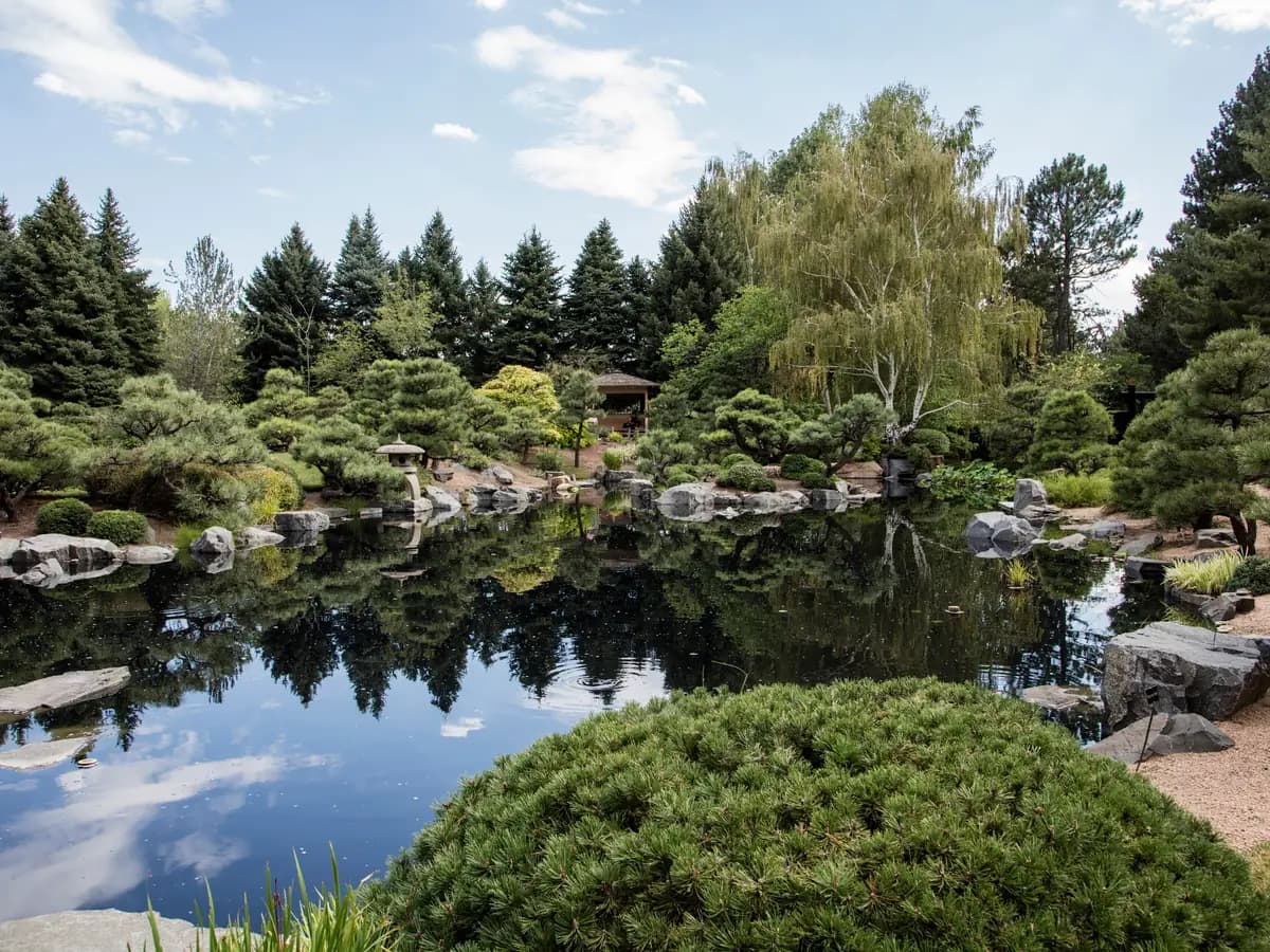 A still pond in the Shofu-en Japanese Garden at Denver Botanic Gardens, edged with rocks, sculpted pines and a weeping willow, reflecting the trees