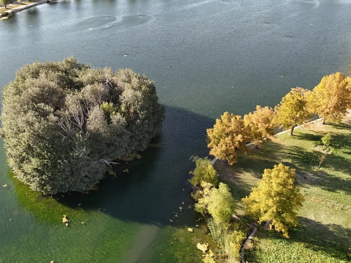 Looking down on tree-covered Monkey Island in Grasmere Lake, with golden autumn trees and a lawn path along the shore at right