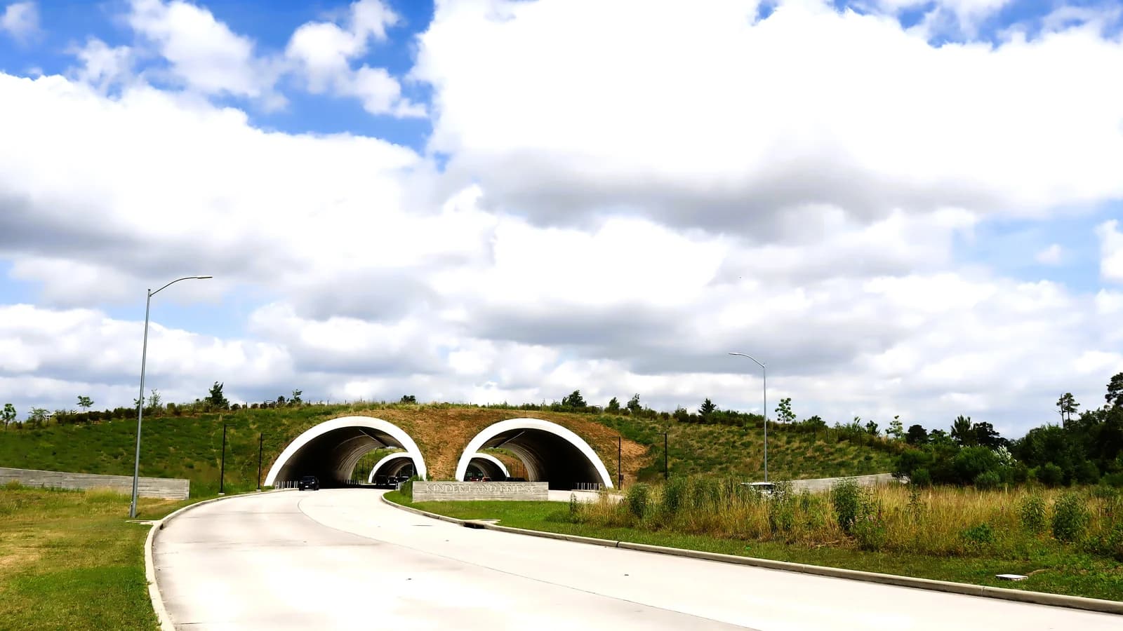 Two arched tunnels running under a grassy land bridge planted with prairie, with a curving park road, lamp posts and puffy white clouds overhead