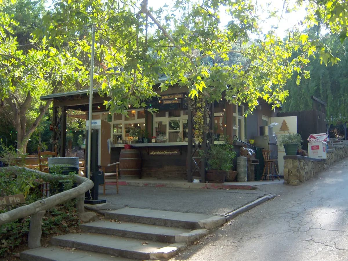 A small wooden cafe with an open counter, a barrel and potted plants under leafy trees, with stone steps and a paved lane in front
