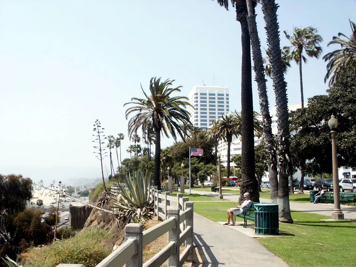 Tall palm trees above a paved clifftop path with a wooden rail, benches and lawn, with agaves on the bluff edge and the coastline and a tower beyond