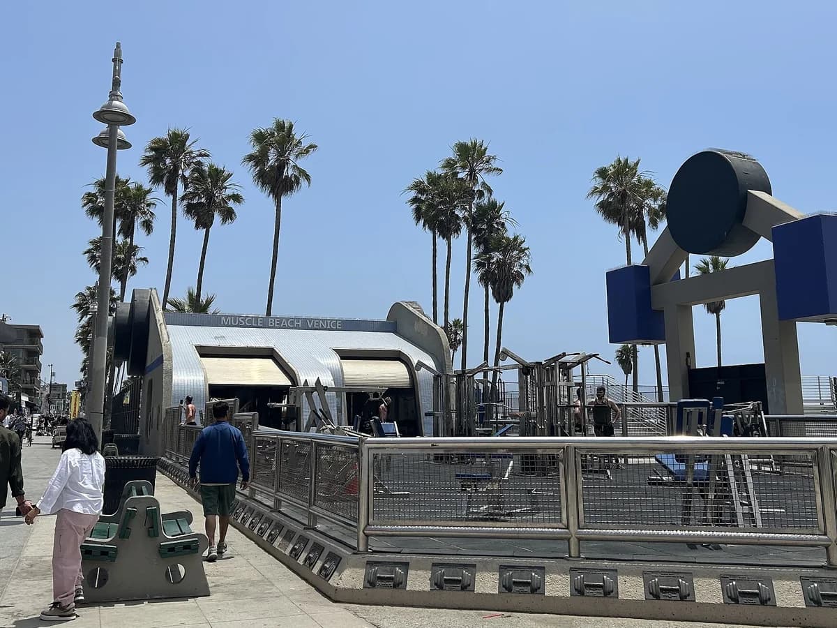 A fenced outdoor gym with silver and navy equipment and a giant barbell-shaped frame on a beach boardwalk, with tall palm trees under a blue sky