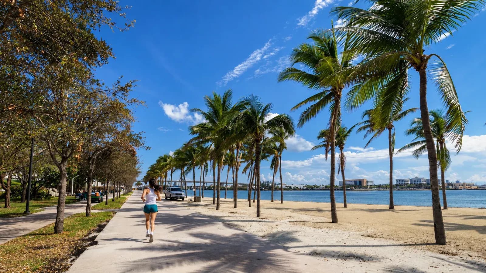 A runner on a wide palm-lined promenade beside Biscayne Bay in Bayfront Park, with a sandy shore and the bay to the right