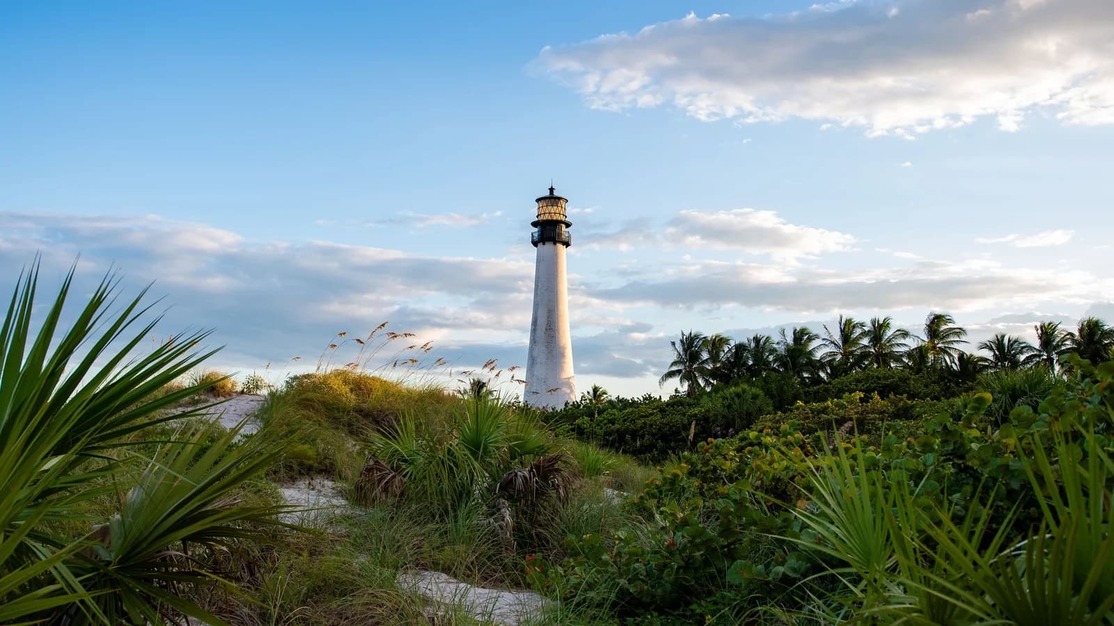 The white Cape Florida Lighthouse rising above dune plants, palmettos and palm trees under a blue sky with soft clouds