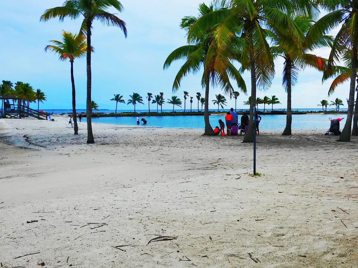 A sand beach with leaning coconut palms around a calm turquoise lagoon, with a few people on the sand in the distance