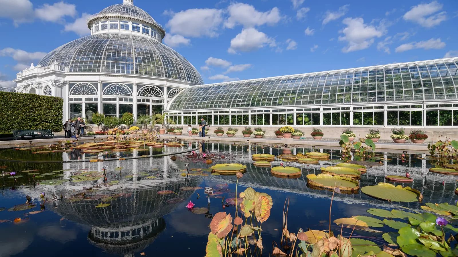 Glass domed Enid A. Haupt Conservatory at the New York Botanical Garden reflected in a lily pond under a blue sky