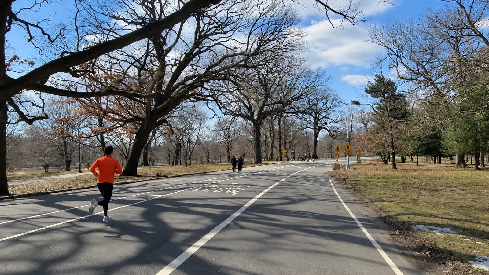 Runner in an orange long-sleeve top on Prospect Park's drive under bare winter trees, with walkers ahead