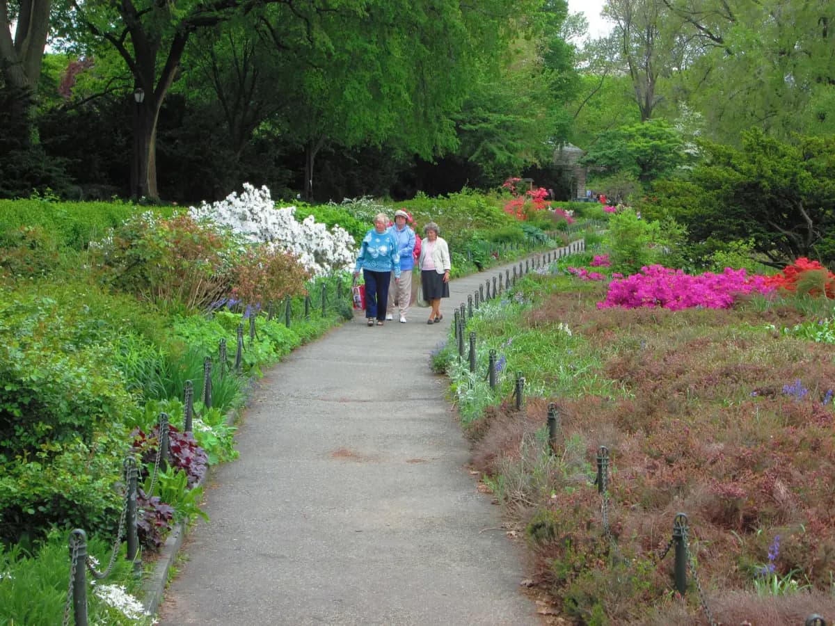 Path winding through the Heather Garden in Fort Tryon Park, lined with flowering shrubs and pink azaleas, with walkers under tall trees