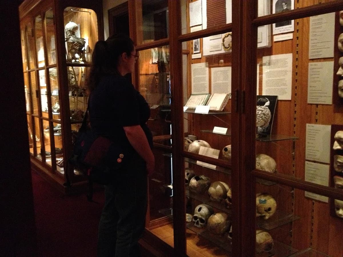 Visitor looking into tall dark wood display cases lined with rows of human skulls and handwritten labels inside the Mütter Museum