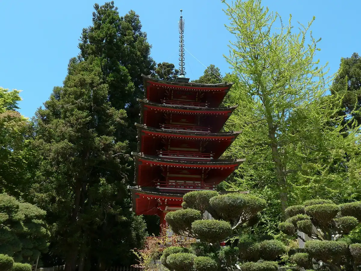 The red five-story pagoda of the Japanese Tea Garden rising among tall conifers and a pale green tree, with clipped cloud-pruned shrubs in front under a blue sky
