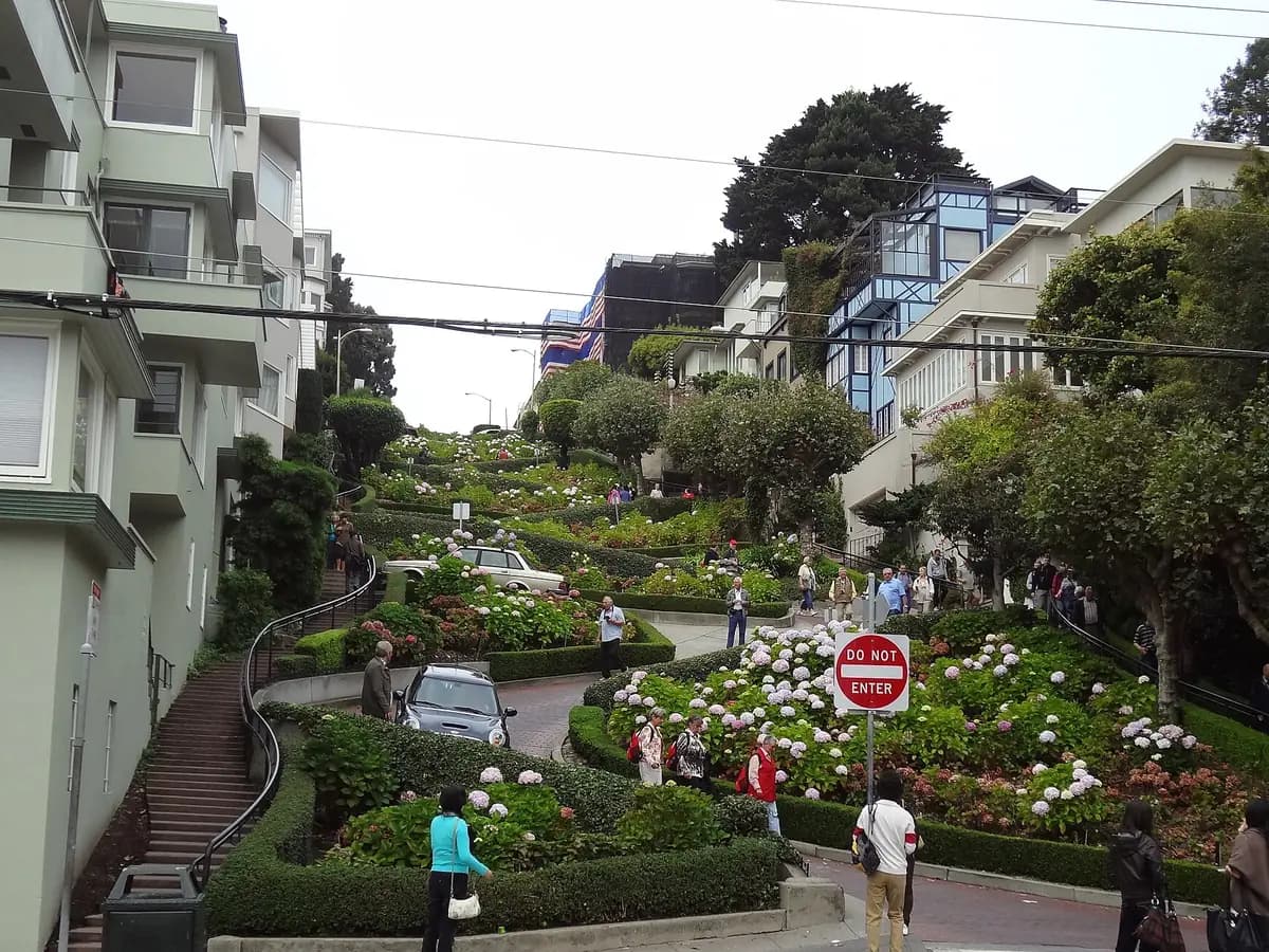 Lombard Street's brick switchbacks winding up Russian Hill between hedges and blooming hydrangea beds, with stairs and houses on each side and visitors at the foot