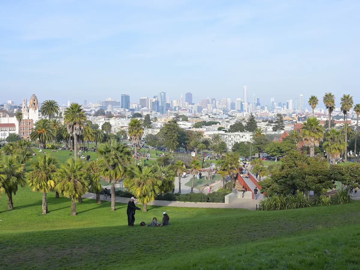 Sloping green lawns of Mission Dolores Park dotted with palm trees, people sitting on the grass, and the downtown skyline beyond on a sunny afternoon
