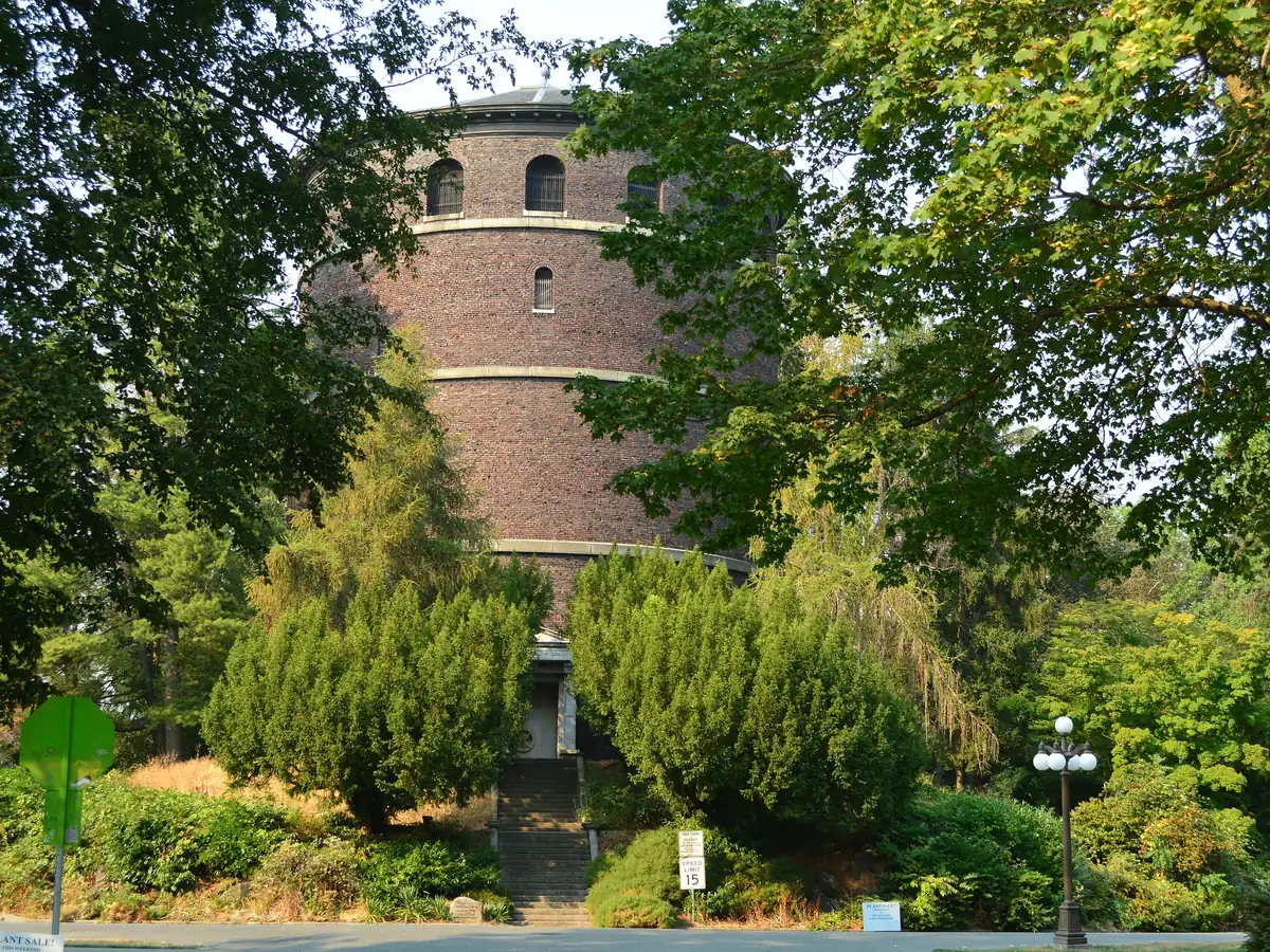 The round brick Volunteer Park Water Tower rising above dark green trees and shrubs, seen from a quiet street on a sunny day